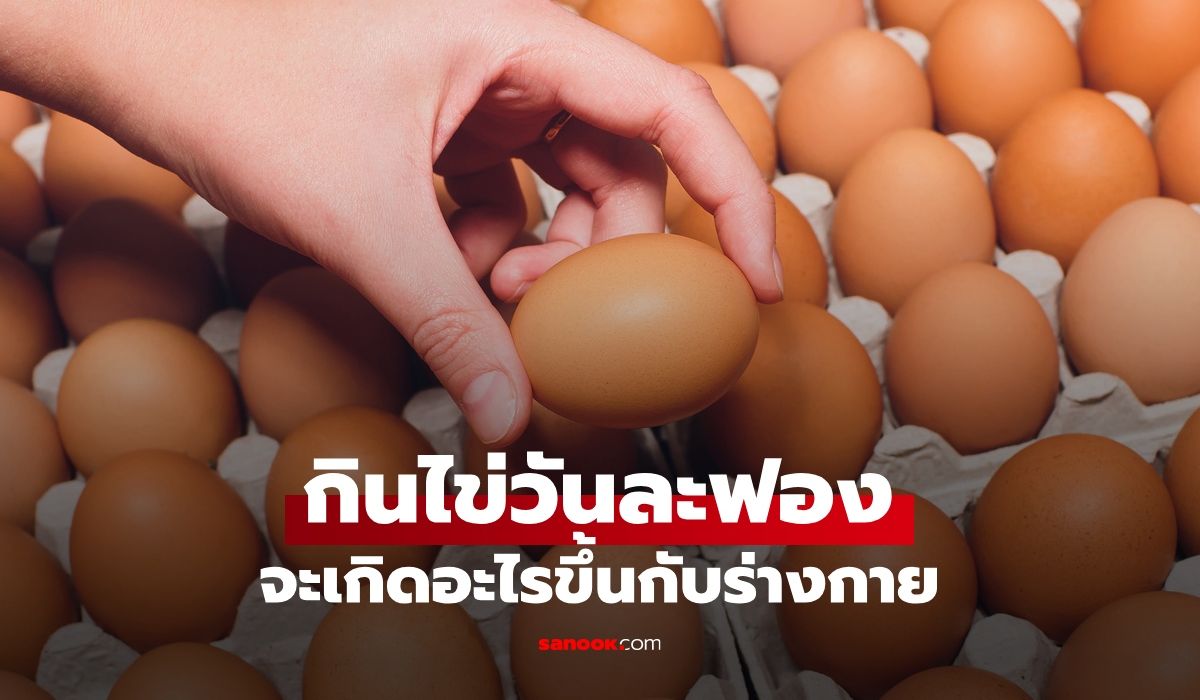 หากเรากิน-“ไข่วันละฟอง”-เปิดผลวิจัย-จะเกิดอะไรขึ้นกับร่างกาย?