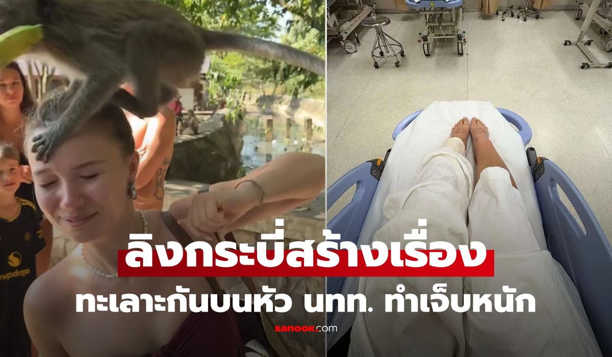 จากทริปในฝันสู่ฝันร้าย!-อินฟลูฯเยอรมัน-ช็อก-ฝูงลิงกระบี่-ปีนทะเลาะกันบนหัว-ต้องหามส่ง-รพ.ด่วน