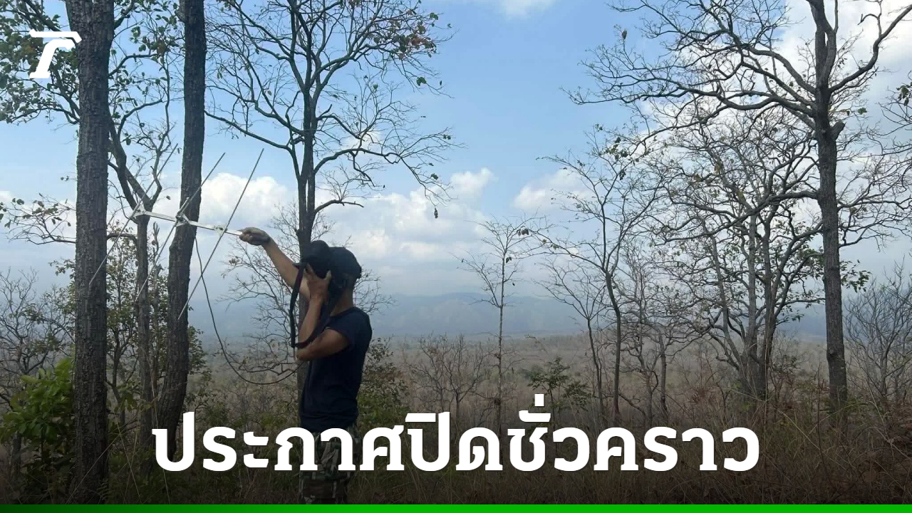 ขสป.ห้วยขาแข้ง-ประกาศปิด-“หอนกยูง”-หลังแม่เสือโคร่ง-“สอนสา”-มาอาศัยและตกลูก