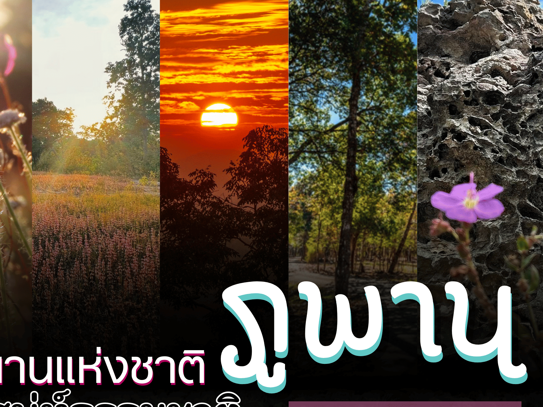 กรมทางหลวง-เชิญชวนท่องเที่ยว-“อุทยานแห่งชาติภูพาน”-แหล่งท่องเที่ยวเชิงอนุรักษ์แห่งภาคอีสาน-ผ่านเส้นทางหลวง-สะดวก-ปลอดภัยทุกเส้นทาง