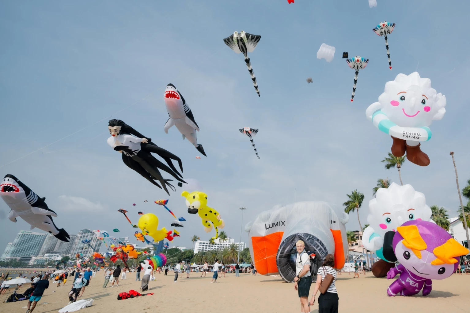 ชักว่าวนานาชาติ-ตระการตาชายหาดพัทยา-เฟสติวัลที่โลกรอคอย