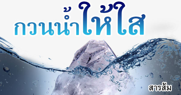 คอลัมน์การเมือง-–-โมโตจีพีวิถีไทย-ประทับใจอินเตอร์-คุ้ม-หรือไม่คุ้ม?