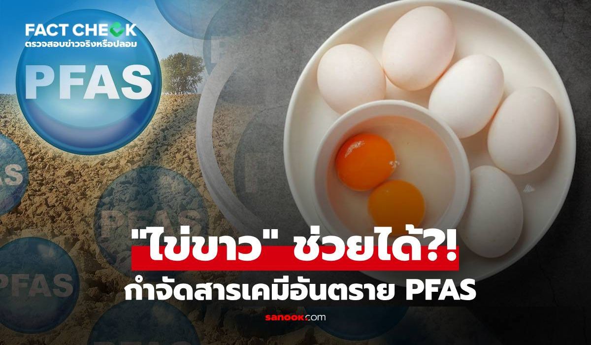 “ไข่ขาว”-ช่วยกำจัดสารเคมีอันตรายได้?-ผลการวิจัยใหม่พบคำตอบแล้ว-:-เช็กข่าวชัวร์