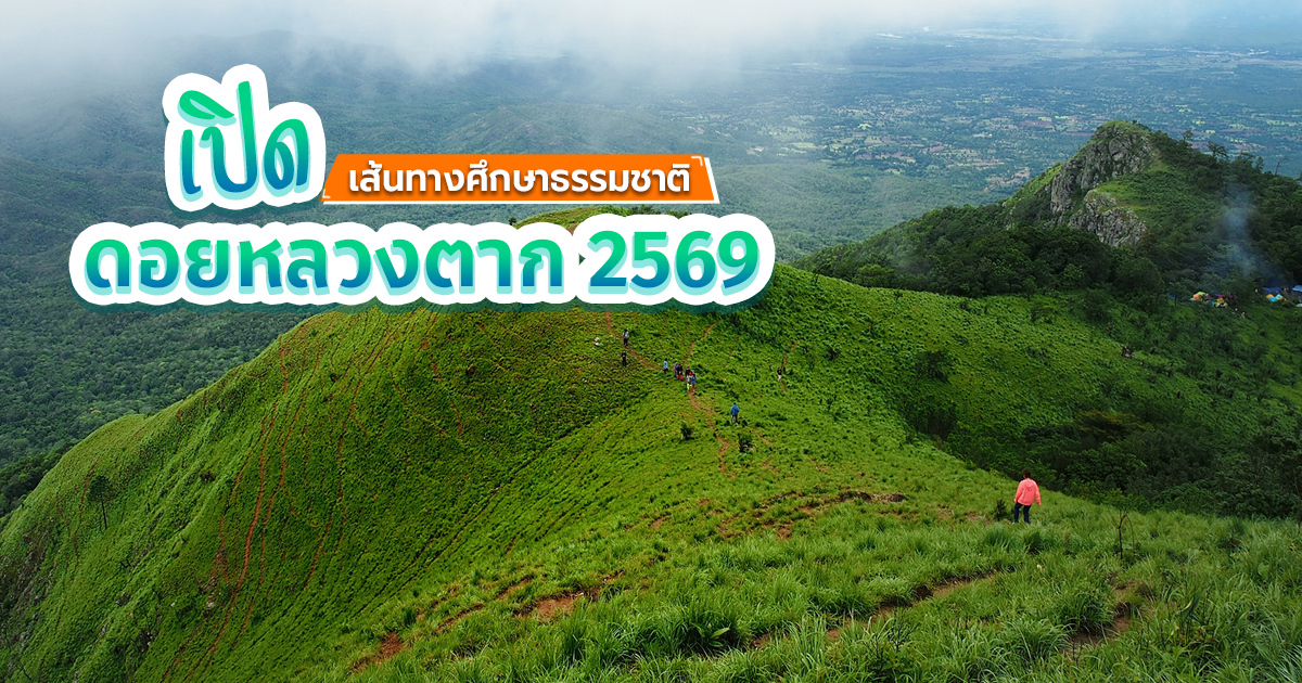 ดอยหลวงตาก 2569 ชวนเดินป่าชมทะเลหมอก วิวภูเขาสุดประทับใจ