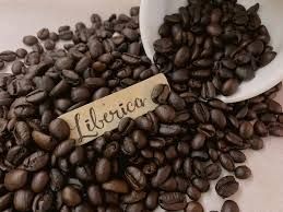 บริษัทธุรกิจการเกษตรของไนจีเรียคว้าข้อตกลงกาแฟมูลค่า-60-ล้านดอลลาร์สหรัฐในไลบีเรีย