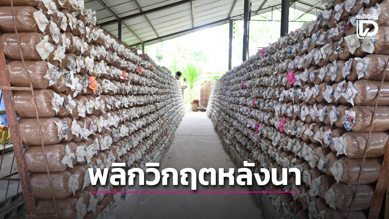 พลิกวิกฤตหลังหน้านา ชุบชีวิตเศรษฐกิจลุ่มน้ำโขง | เดลินิวส์