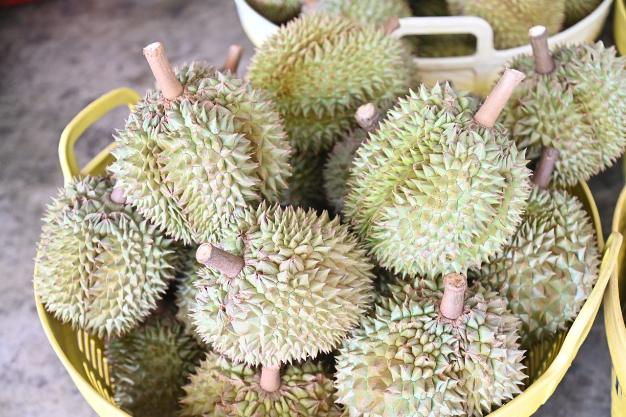 พาณิชย์-เร่งระบายทุเรียนใต้-3-แสนตัน-ทำสัญญาซื้อขายล่วงหน้า-เปิดจุดจำหน่าย-กระตุ้นการบริโภค-:-อินโฟเควสท์