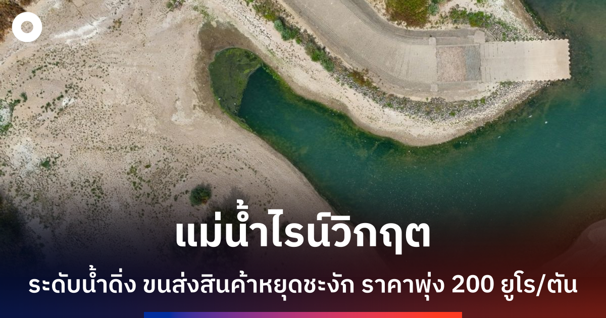 แม่น้ำไรน์แห้งขอด วิกฤตระดับน้ำต่ำคุกคามเศรษฐกิจเยอรมนี