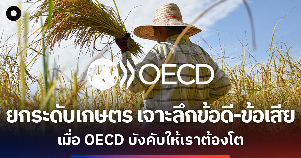 ยกระดับเกษตร เจาะลึกข้อดี-ข้อเสีย  เมื่อเข้า OECD บังคับให้เราต้องโต