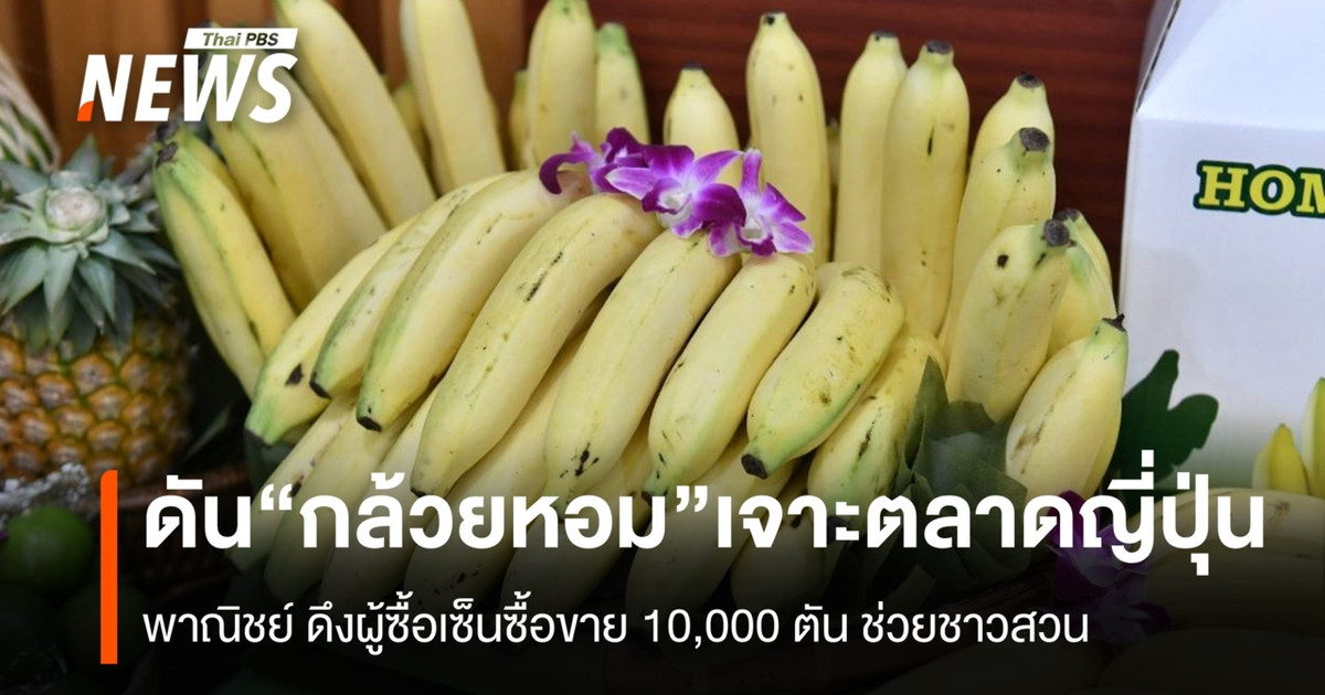 ดัน“กล้วยหอมไทย”-เจาะตลาดญี่ปุ่น-พาณิชย์-ดึงผู้ซื้อเซ็นซื้อขาย-10,000-ตัน