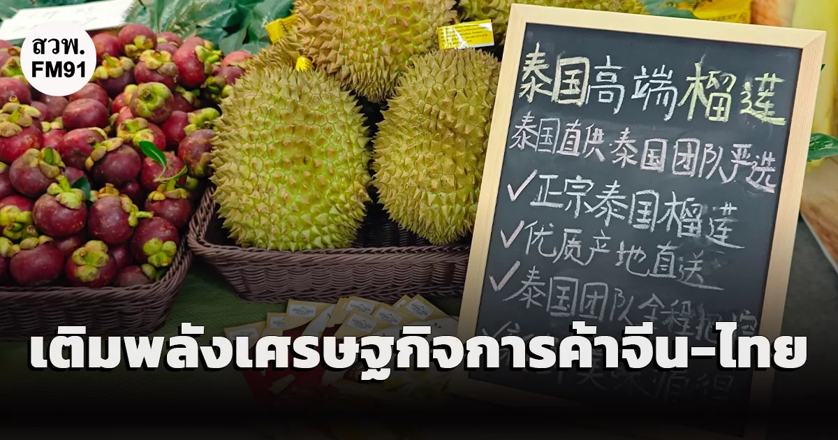 เขตการค้าเสรีจีน-อาเซียน 3.0 เติมพลังเศรษฐกิจและการค้าจีน-ไทย