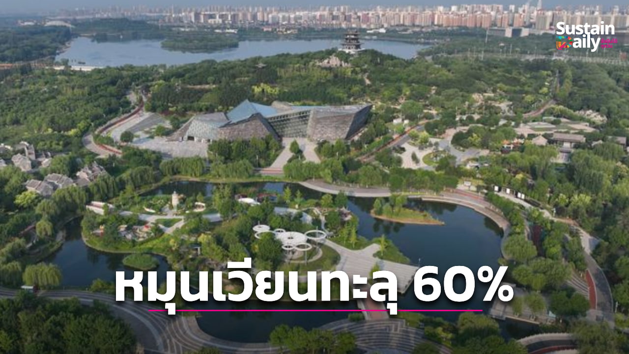 จีนเร่งเครื่องเศรษฐกิจสีเขียว พลังงานหมุนเวียนทะลุ 60% | เดลินิวส์