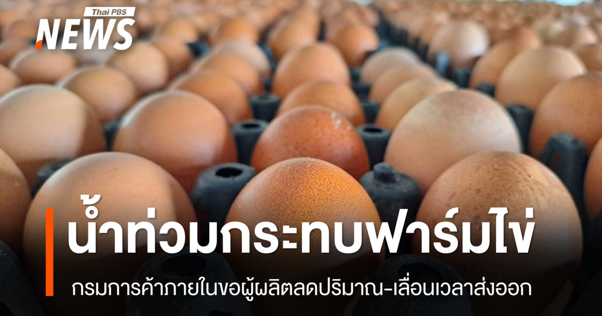 กรมการค้าภายในแก้สถานการณ์ไข่ไก่ ขอให้ชะลอการส่งออกไปก่อน หลังฟาร์มบางแห่งถูกน้ำท่วม