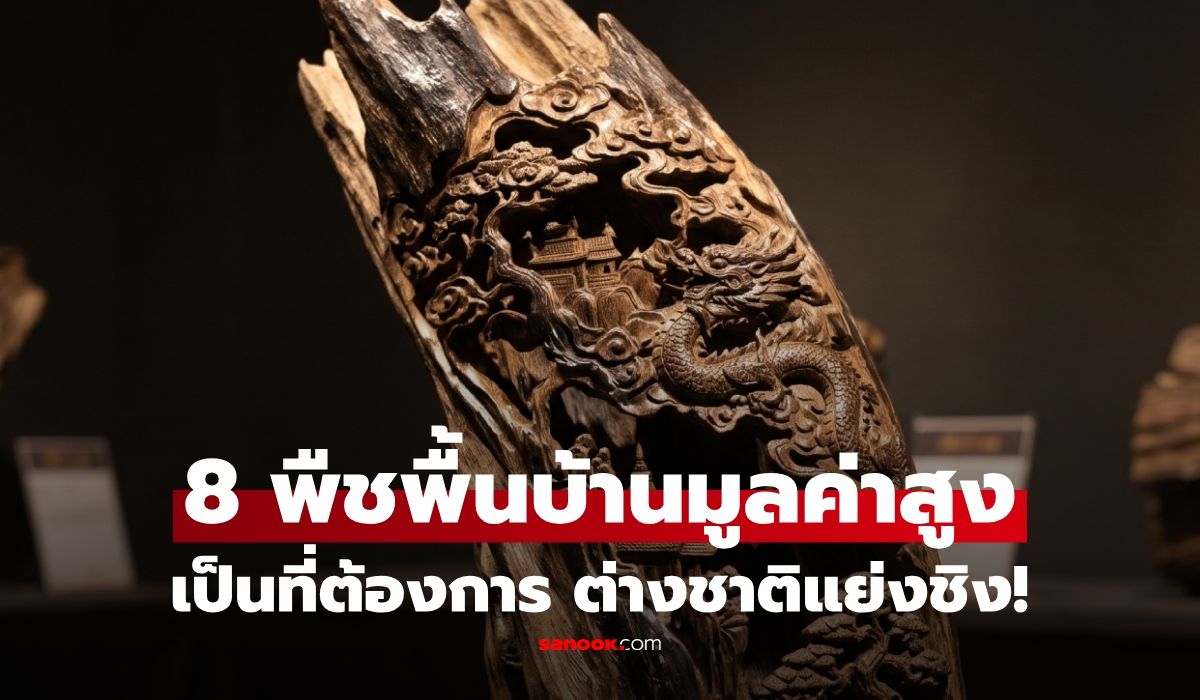 ต่างชาติแย่งชิง!-8-พืชของไทย-จากพืชพรรณพื้นบ้านสู่ตลาดโลก-บางชนิดมูลค่าหลักล้าน!
